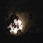 luis videla - @luisvidela03 - Instagram