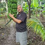 Luis Vindel - @luis.vindel.735 - Instagram