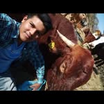 Luis Fernando virgen casillas - @luis_virgen_12 - Instagram