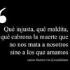 Luis.Vivas - @luis.vivas - TikTok