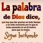 Luis Walker - @luis.walker.75098 - Instagram