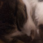 luiswilhelm64 - @luis_wilhelm574 - Instagram