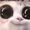 LuisWise - @addiejueyt3 - TikTok