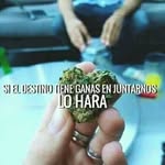 Luis Yerena - @luis.yerena.984 - Instagram