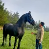 Jose Luis Zenon - @luiszenon27 - TikTok