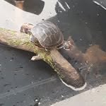 Luis Zermeno - @luis_zermeno798 - Instagram