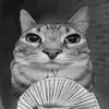 Luis Zermeno - @luiszermeno_798 - TikTok