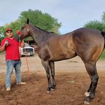 Luis Carlos Canales Zubiate - @canaleszubiateluiscarlos - Instagram