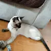 Luisa Ayala885 - @luisaayala885 - TikTok