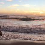 Luisa Chapa - @chapaluisa - Instagram