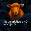LUISA DAVID - @luisa.david88 - TikTok