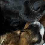 Luisa del Valle - @luisa.delvalle.11 - Instagram