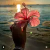 soyluisa_Disla - @porsiempreprivada - TikTok