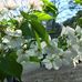 Luisa Falcon - Facebook