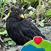Ana Luisa Freeman - Facebook