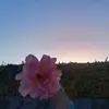 friends.analuisa - @friends.analuisa - TikTok