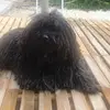 Luisa Rodríguez Carrero - @luisafriends - TikTok