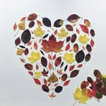 Luisaandhorses - @luisaandfriends - Instagram