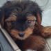 Luisa Hogan - Facebook