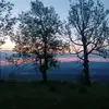 Luisa Langguth - @luisa.langguth - TikTok