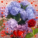 Luisa Leonardi - Facebook