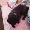Luisa Marrero - @luisa.marrero85 - TikTok