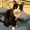 Luisa Losio - @luisalosio - TikTok