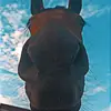 luisastocki - @luisastockhammer - TikTok