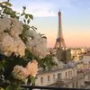 Luisa ⚡ - @luisa.storytime.zz - TikTok