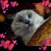 Luisa Sommers - Facebook