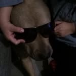 Luisa Torrez - @torrez2005 - Instagram