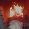 Luisa Valentin - @luisa.valentin8 - TikTok