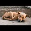 luisavelasquez8 - @luisavelasquez05 - TikTok