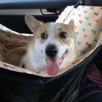 Luisa Wang - Facebook