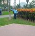 Evelinda Luisa Zarate Huanuco - Facebook