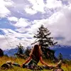 luise.schmid - @luise.schmid - TikTok
