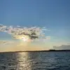 luiseschmidt - @luiseschmidt - TikTok