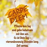 Marie-Luise Schmid - @luisenschmied - Instagram