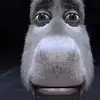 Lukas Castillo - @lukas.castillo180 - TikTok