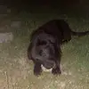 Lukas_ Davis - @lukas_davis2589 - TikTok