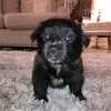 lukashanson - @lukashanson_01 - TikTok