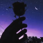 Lukas Howard Bethencourt - @lukashowardbethencourt - Instagram