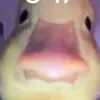 Lukas Johnston - @lukas.johnston7 - TikTok