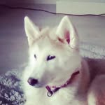 lukas kennedy - @luca_kennedy576 - Instagram