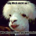 lukas lemke - @bopfrid - Instagram