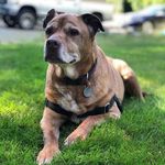 Lukas Lemke - @sakul627 - Instagram