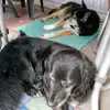 Lukas_long - @lukas_long - TikTok