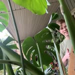 Lukas Mathews - @formedpineapple - Instagram