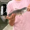 Lucas🦆🚤🐟 - @lucasmcgee4 - TikTok
