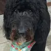 Lucas McGee - @lucas.mcgee8 - TikTok